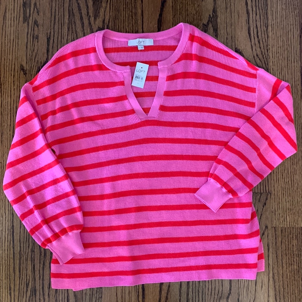 Cutest LOFT sweater NWT - Size Medium
